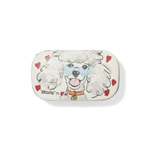 Best Friends Furever Mini Box