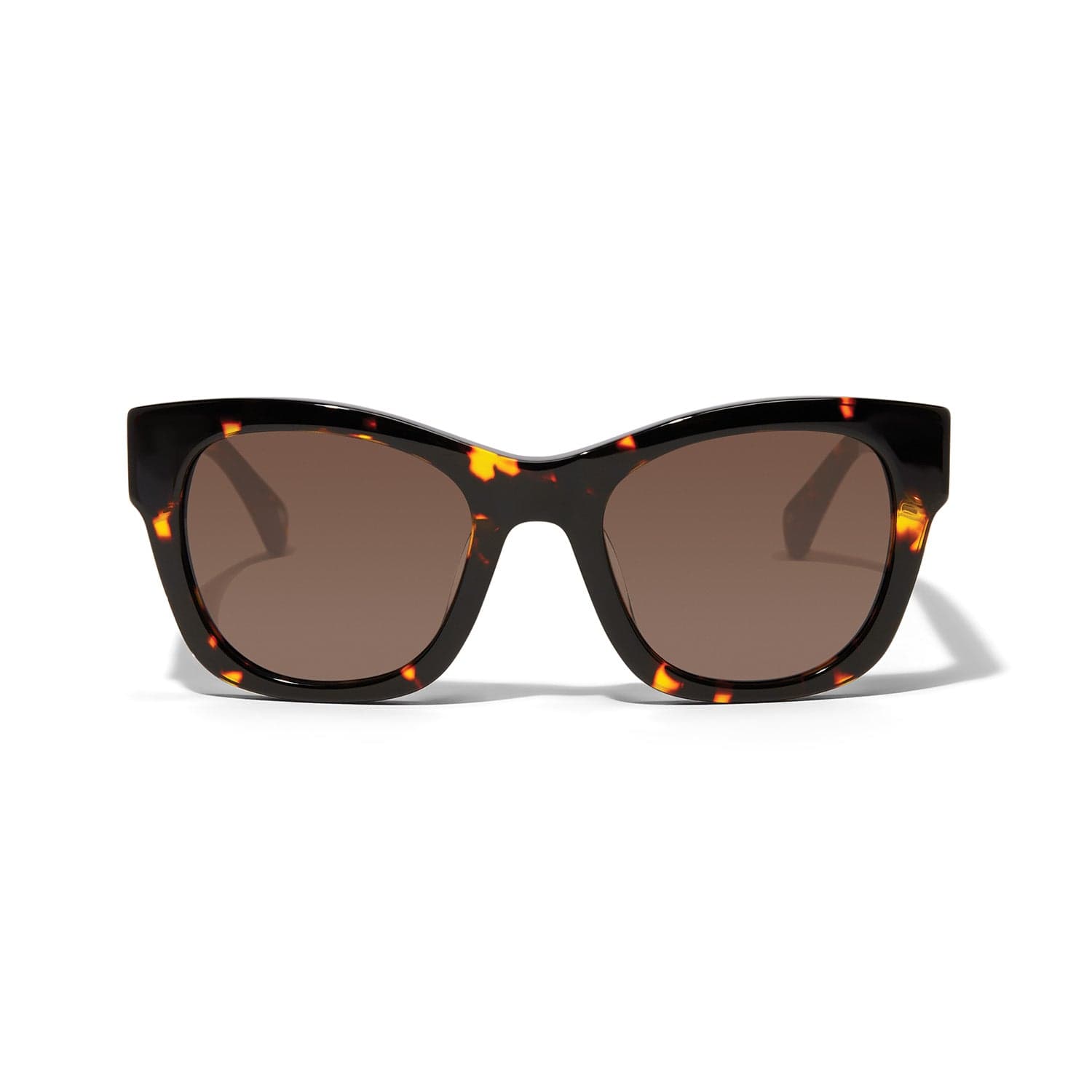 Contempo Medallion Sunglasses - Image 3