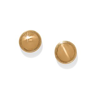Contempo Nuevo Post Earrings