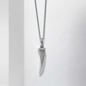 Horn Amulet Necklace Gift Set
