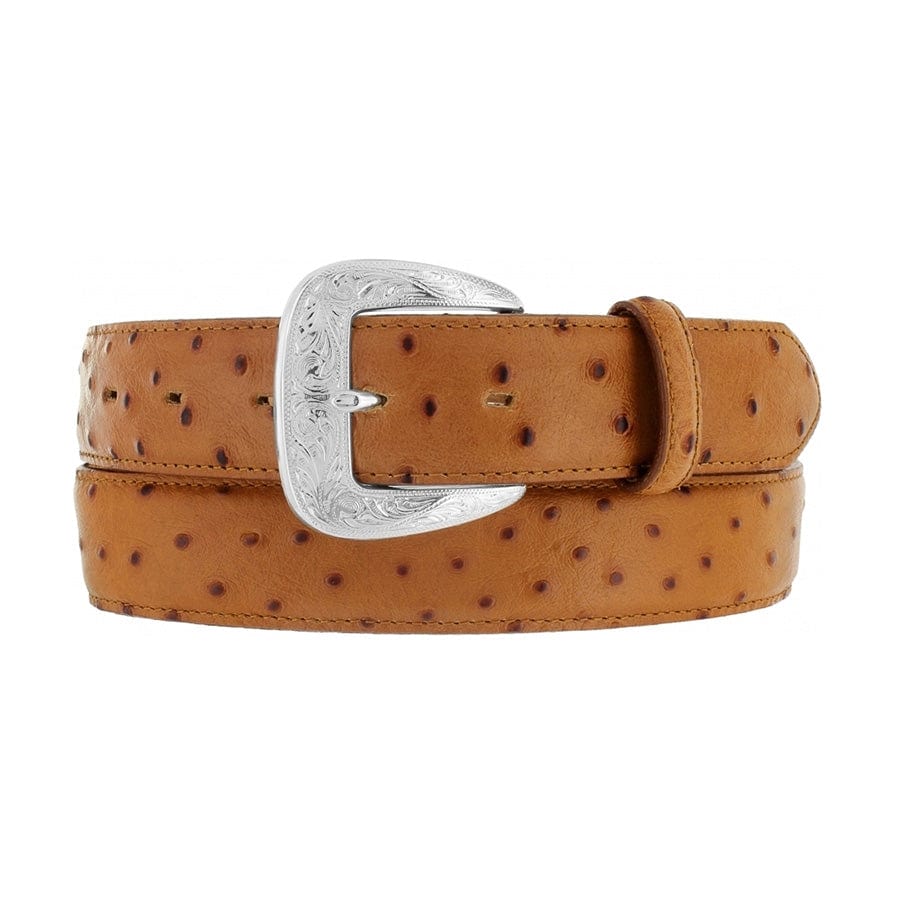 Ostrich Print Dress Belt - Image 4
