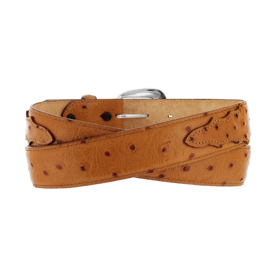 Ostrich Print Dress Belt - Image 5
